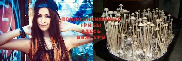первитин Алексеевка