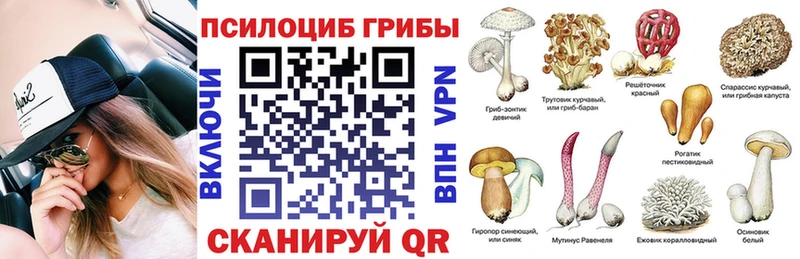 нарко площадка клад  где можно купить наркотик  Берёзовский  Галлюциногенные грибы GOLDEN TEACHER 